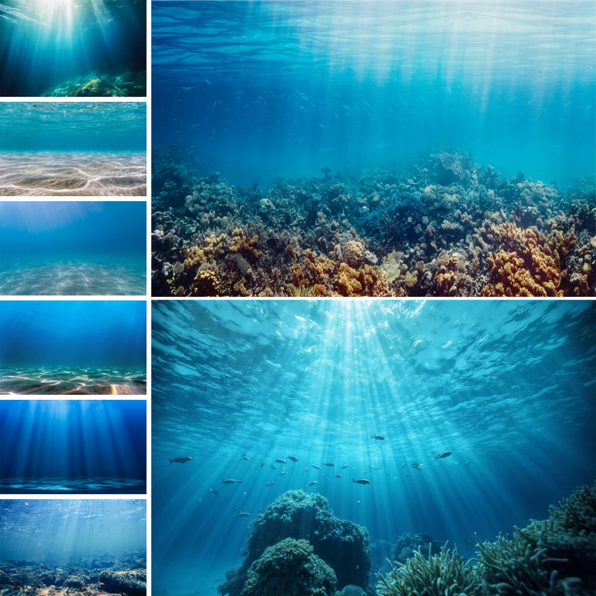 Fundo Azul do Mundo Subaquátic - Photo Develop Tank avaliação e preço